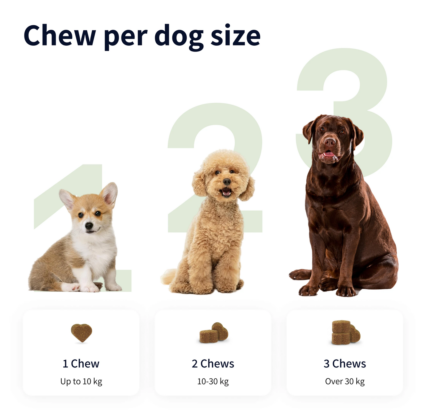 Pup's Itch-Free Chews
