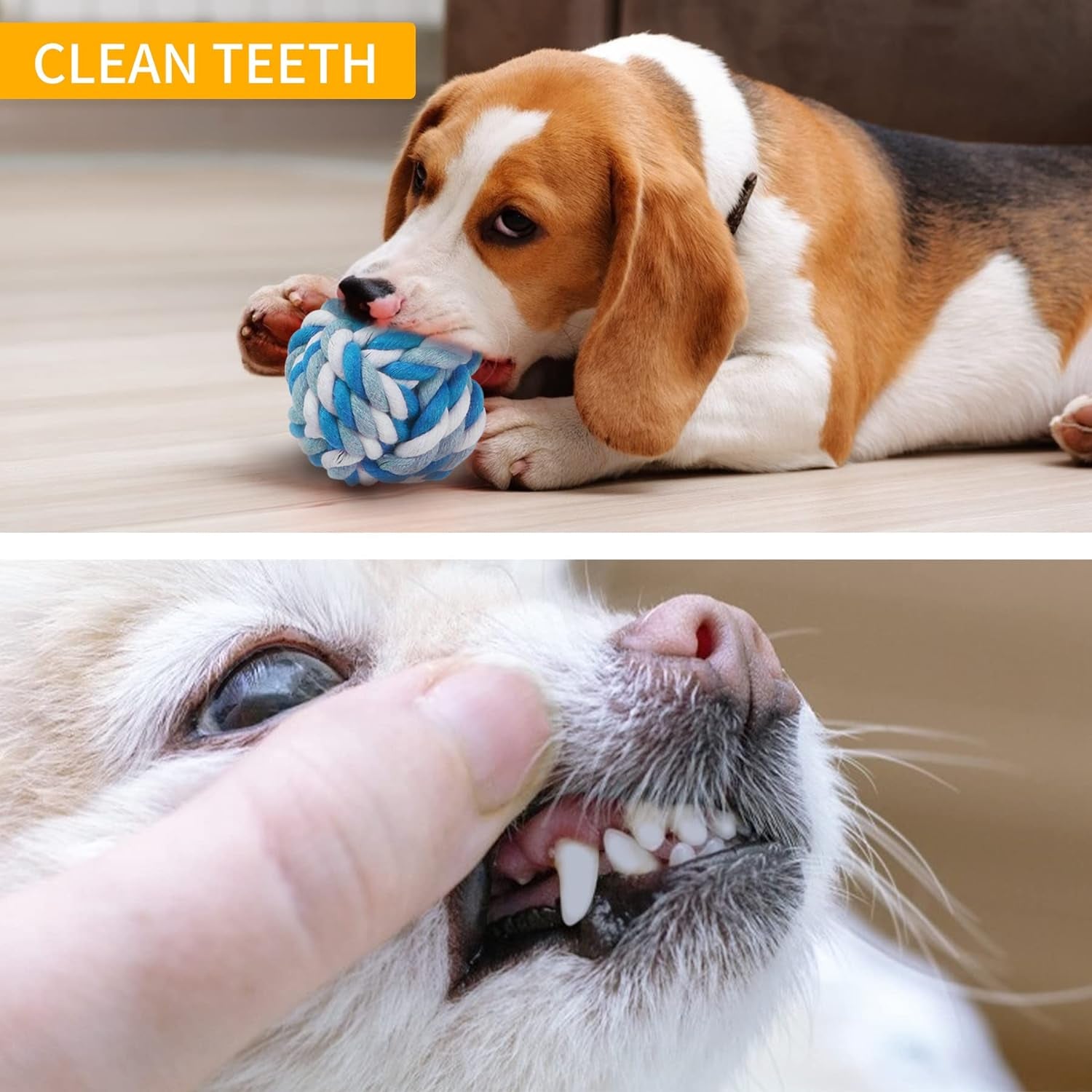 Puppy Toys Small Dogs, Durable Puppy Toys for Teething Small Dogs, Cute Dog Toys for Small Dogs, Stuffed Plush Squeaky Dog Toys and Ocean Small Dog Toys, Reliable Ropes Puppy Chew Toys