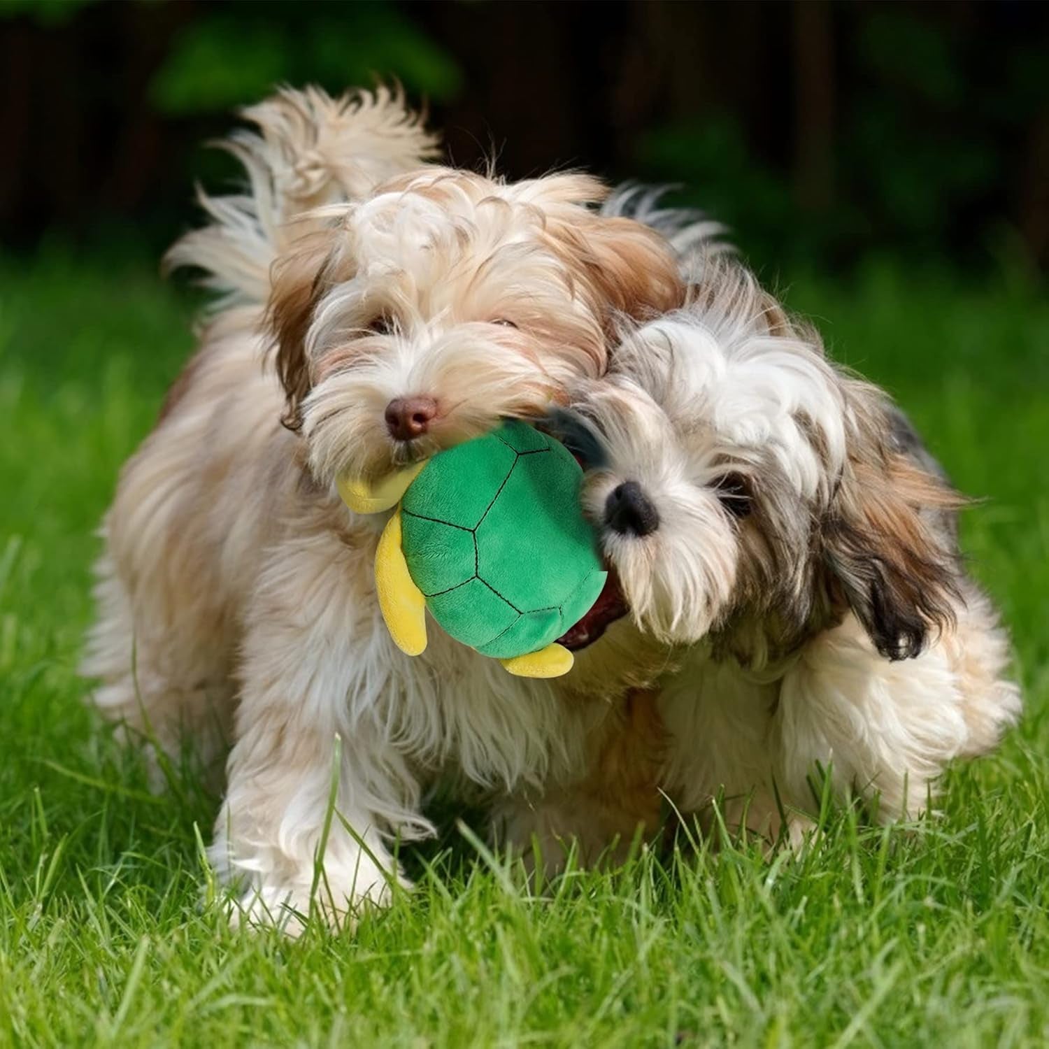Puppy Toys Small Dogs, Durable Puppy Toys for Teething Small Dogs, Cute Dog Toys for Small Dogs, Stuffed Plush Squeaky Dog Toys and Ocean Small Dog Toys, Reliable Ropes Puppy Chew Toys