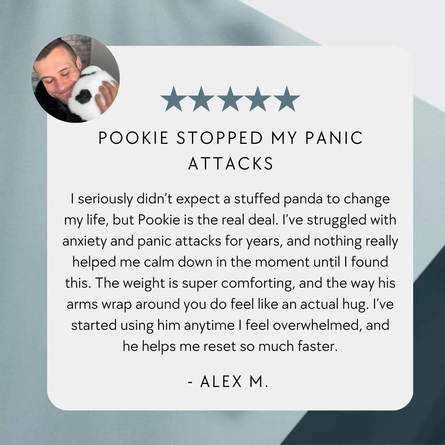 Pookie the Panda Hug Buddy