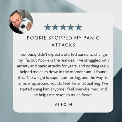 Pookie the Panda Hug Buddy