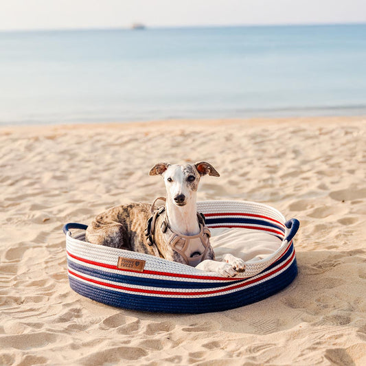 Cozy Comfort Pet Bed