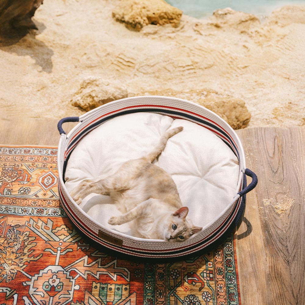 Cozy Comfort Pet Bed