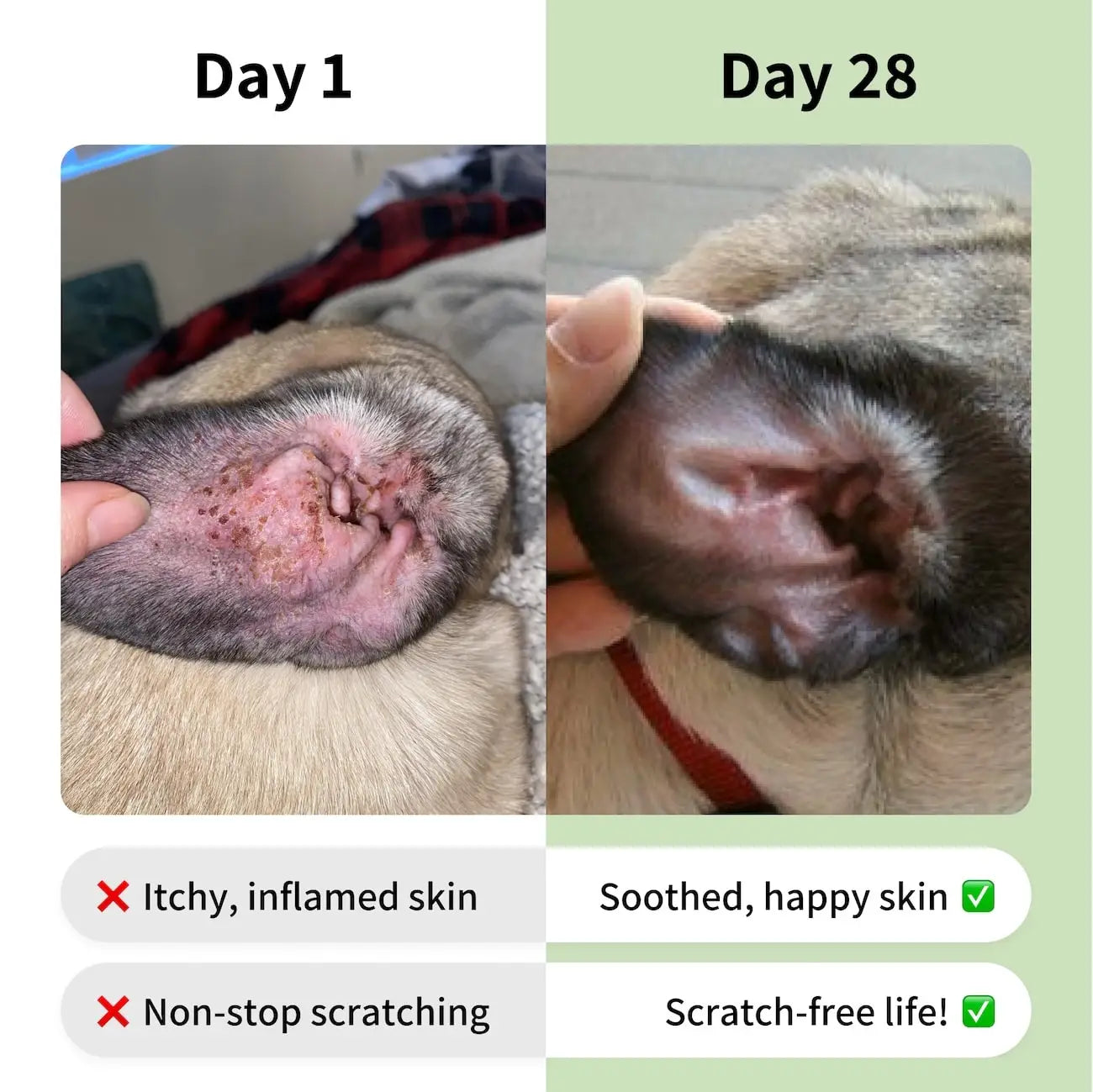 Pup's Itch-Free Chews