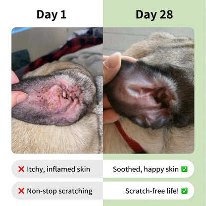 Pup's Itch-Free Chews