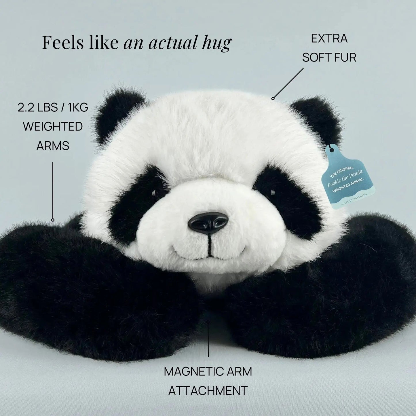 Pookie the Panda Hug Buddy