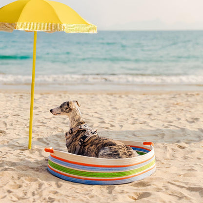 Cozy Comfort Pet Bed