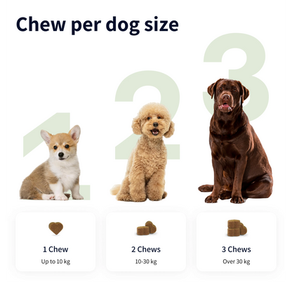 Pup's Itch-Free Chews