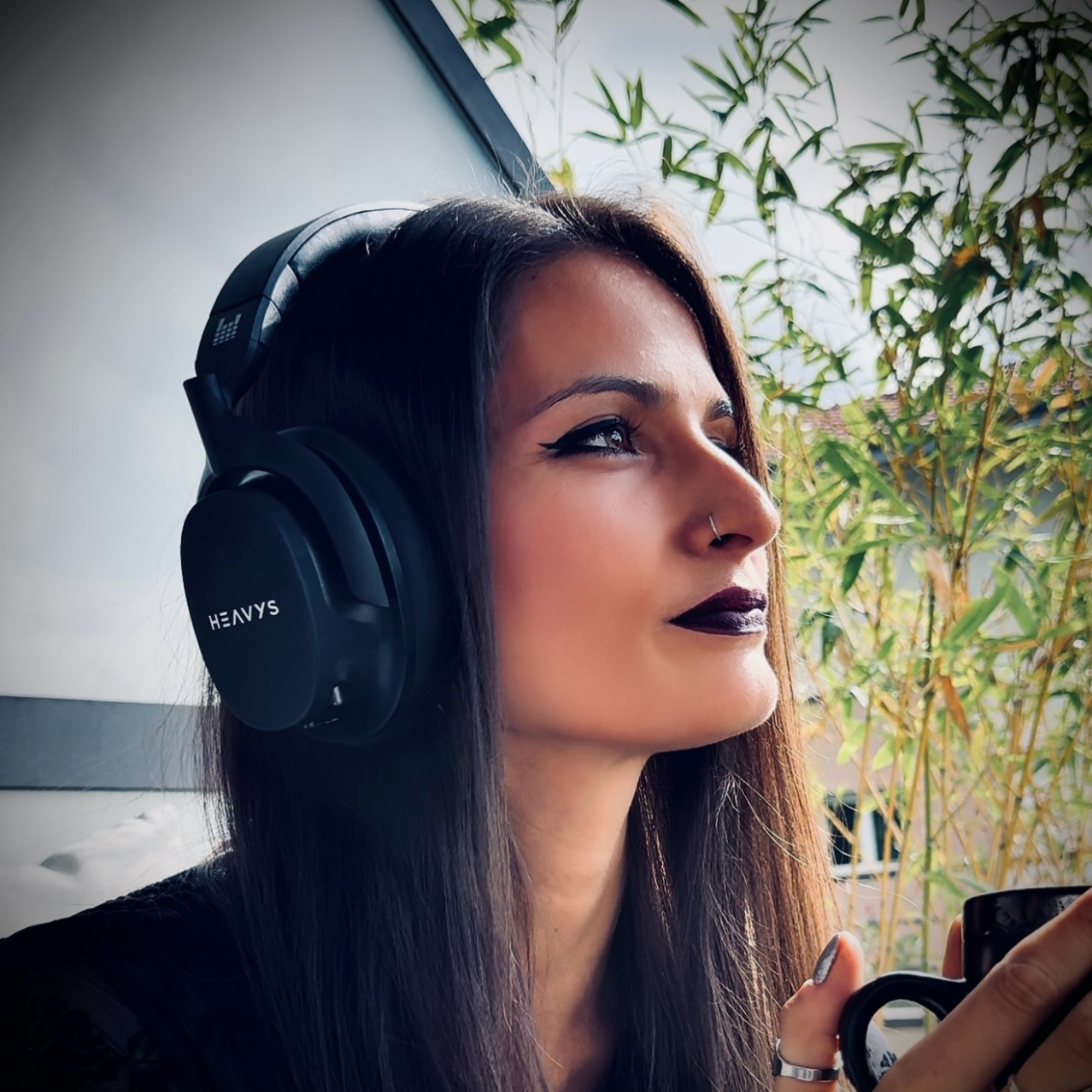 Heavy Beats Headphones