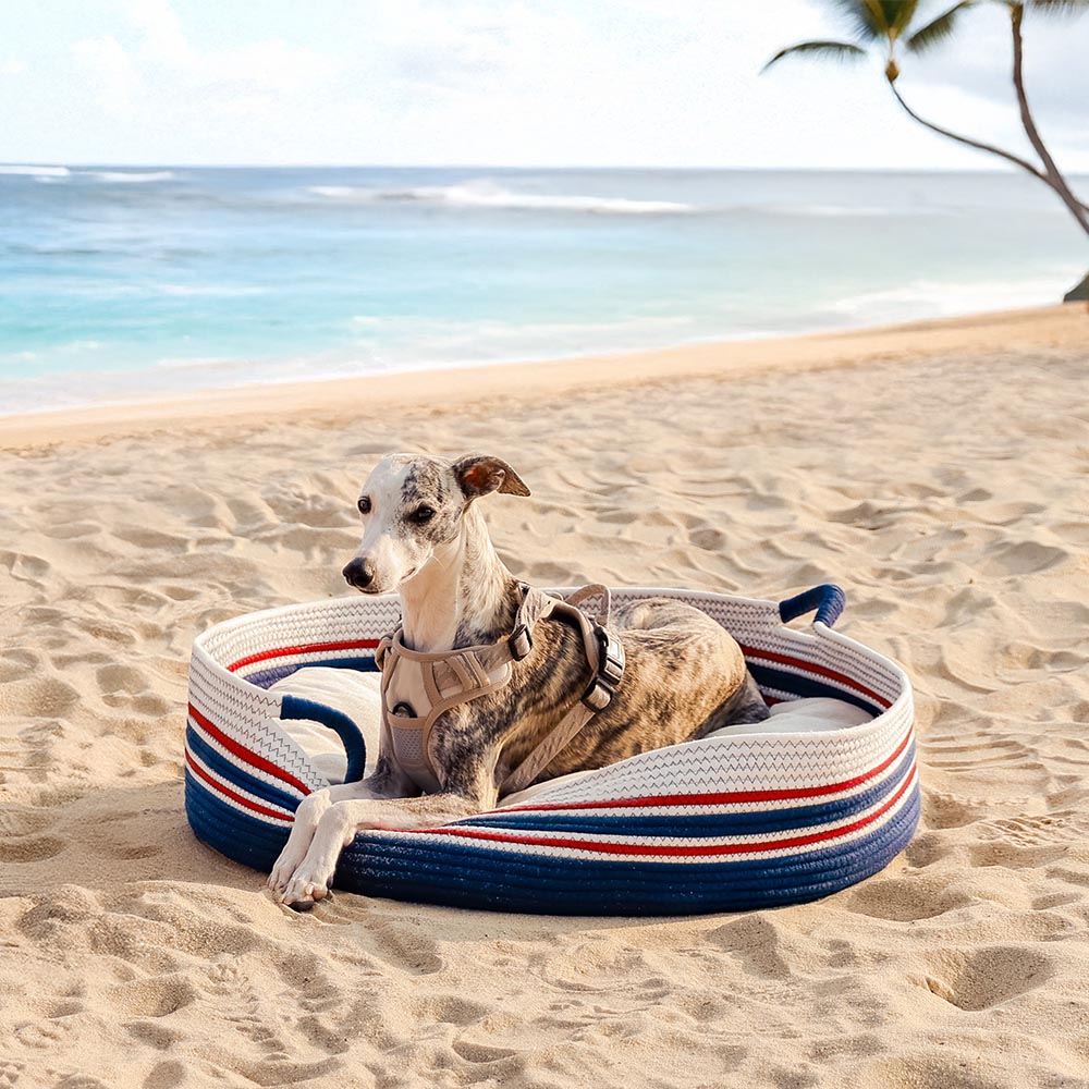 Cozy Comfort Pet Bed