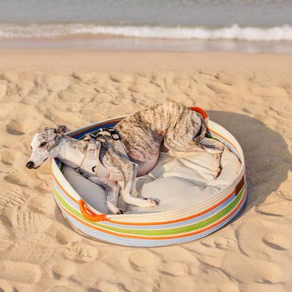 Cozy Comfort Pet Bed
