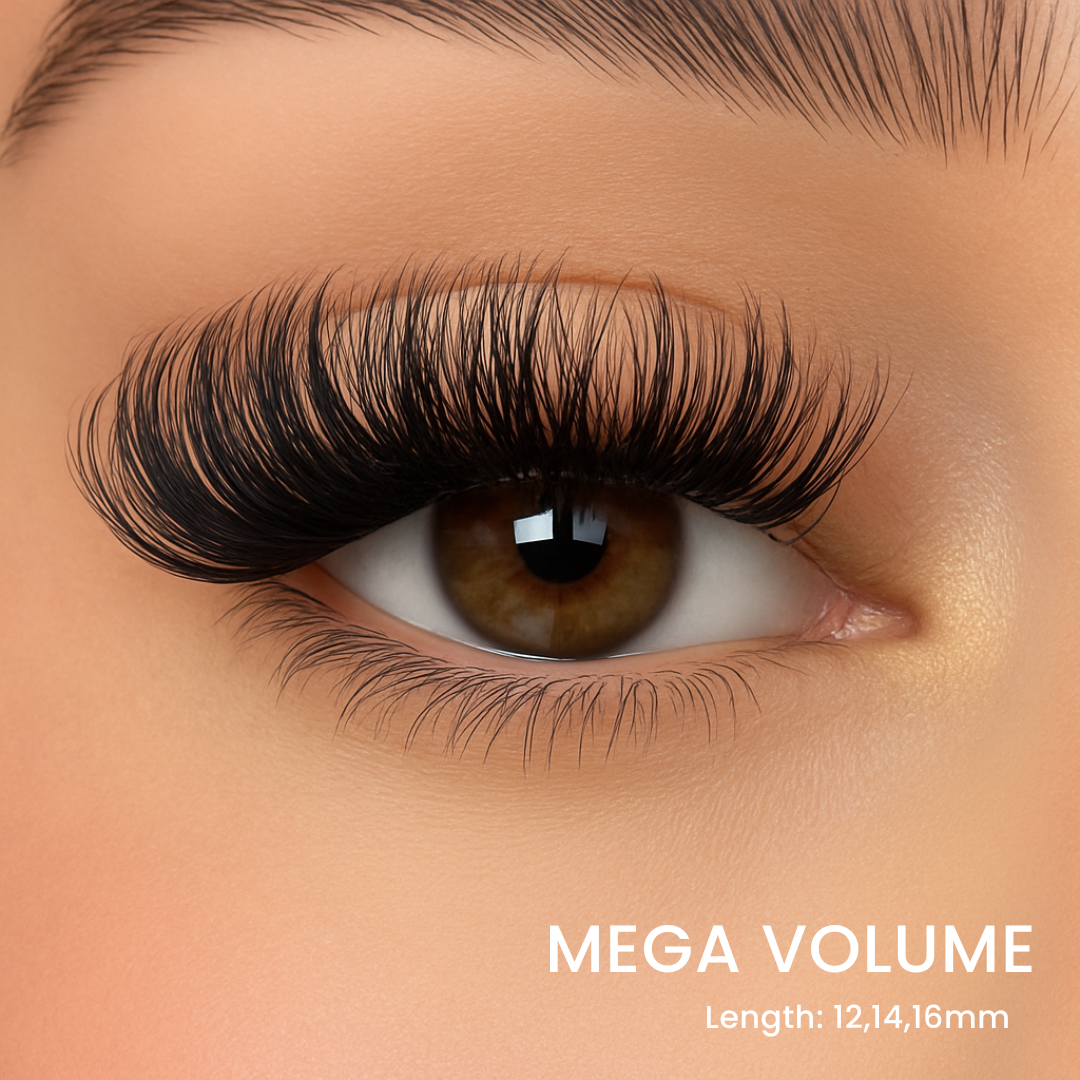 Lash Glow Starter Kit