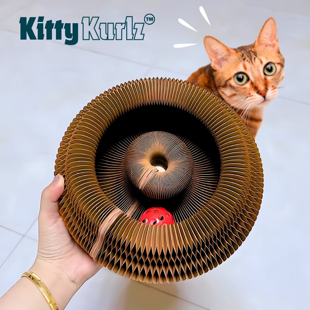 Kitty Kurlz Play Track
