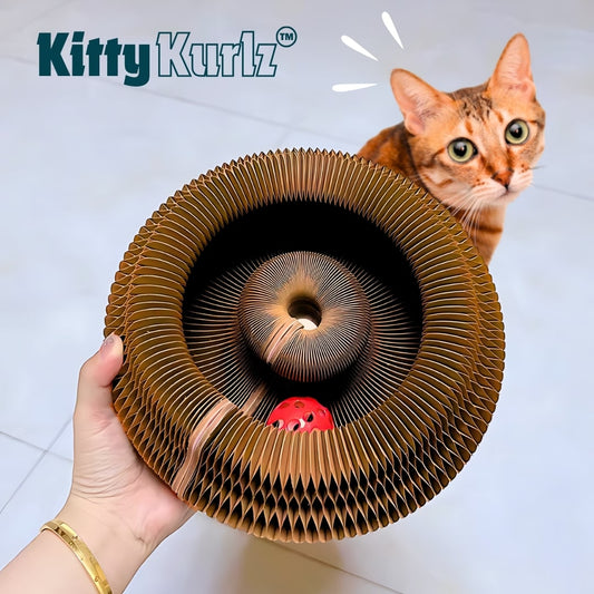 Kitty Kurlz Play Track