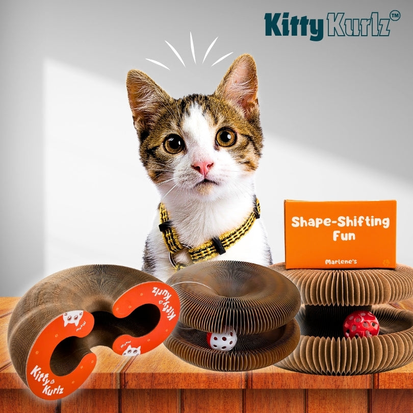 Kitty Kurlz Play Track