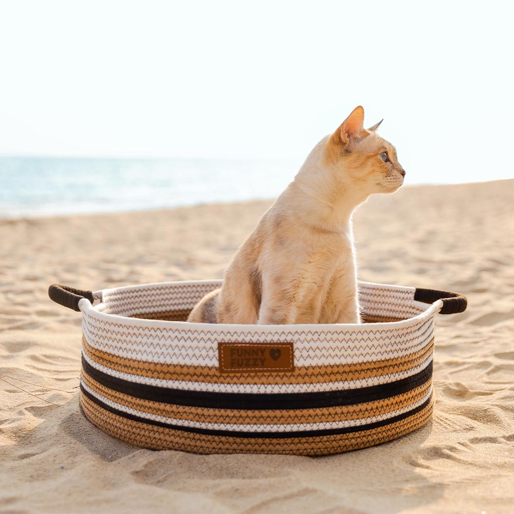 Cozy Comfort Pet Bed