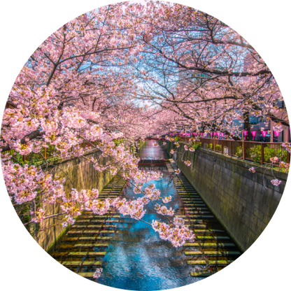 Japan Sakura Adventure Medal