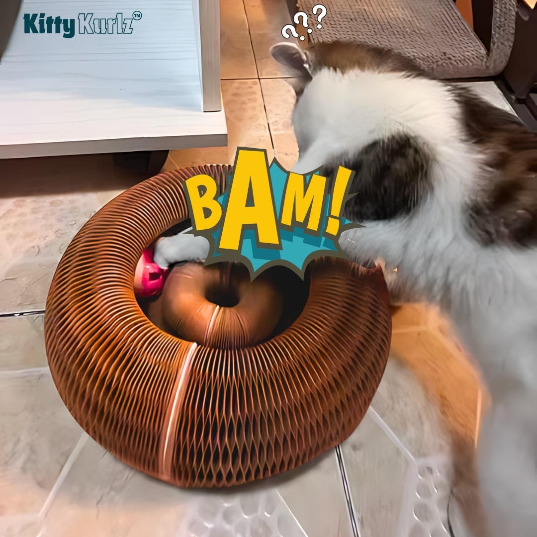 Kitty Kurlz Play Track