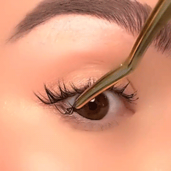 Lash Glow Starter Kit