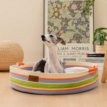 Cozy Comfort Pet Bed
